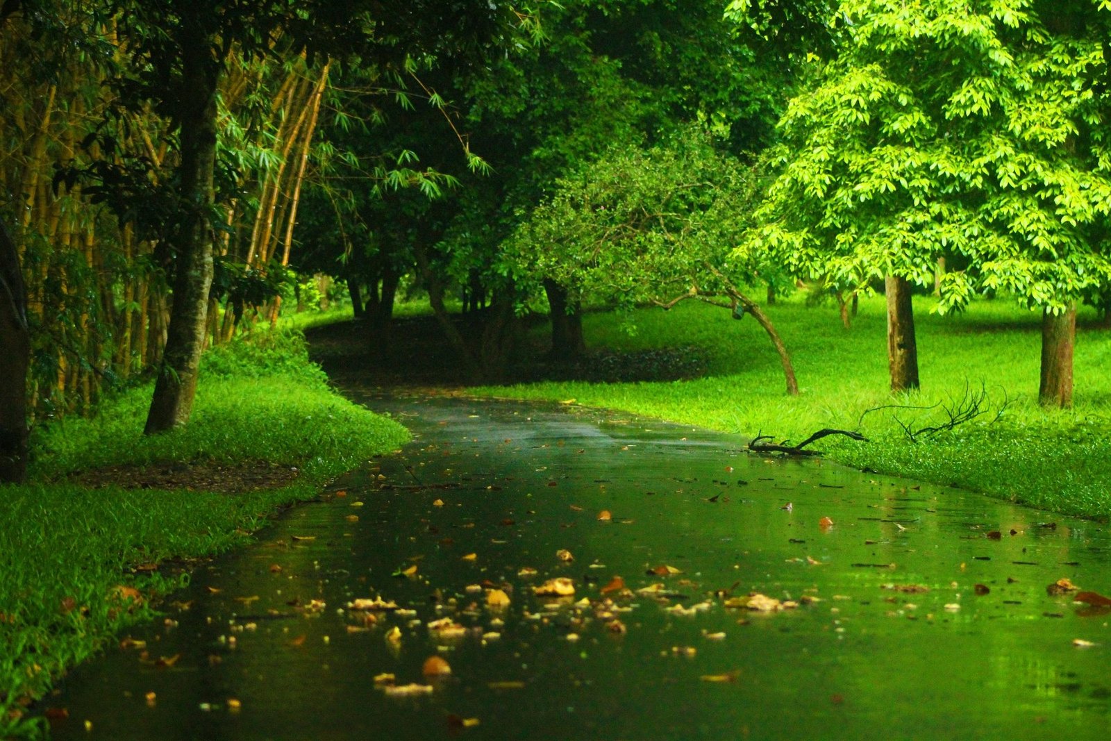 Banner 2